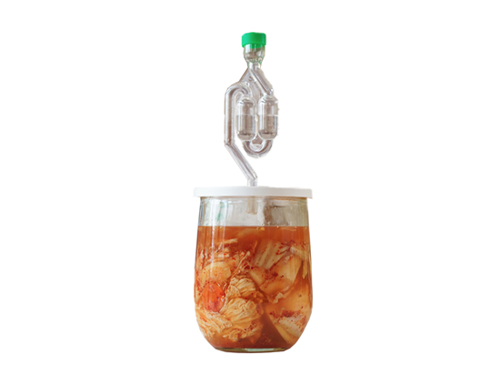 Fermentation Set - Kimchi